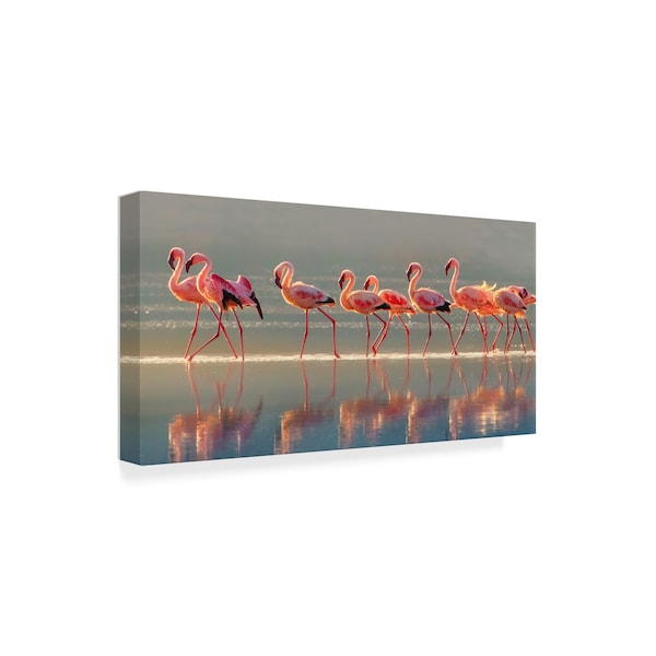 Phillip Chang 'Flamingo Walk' Canvas Art,24x47